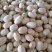 百万亩东方蜜1号甜瓜红金蜜甜瓜货量充足实力专业供应