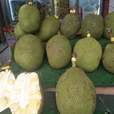 菠萝蜜15~20公斤