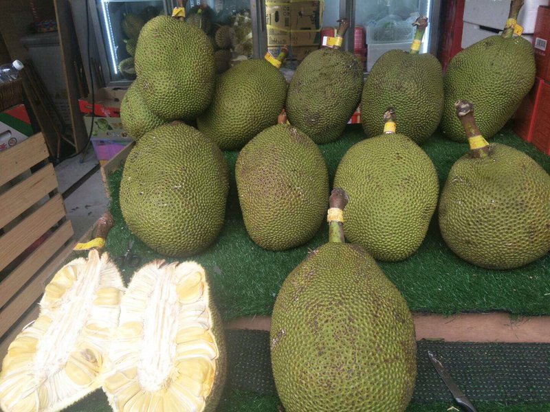 菠萝蜜15~20公斤