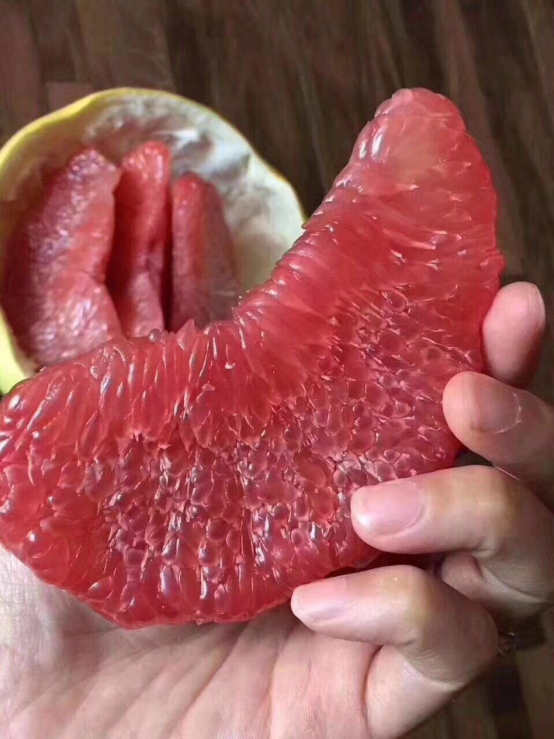 四大名柚苗出售，红柚，白柚，三红柚