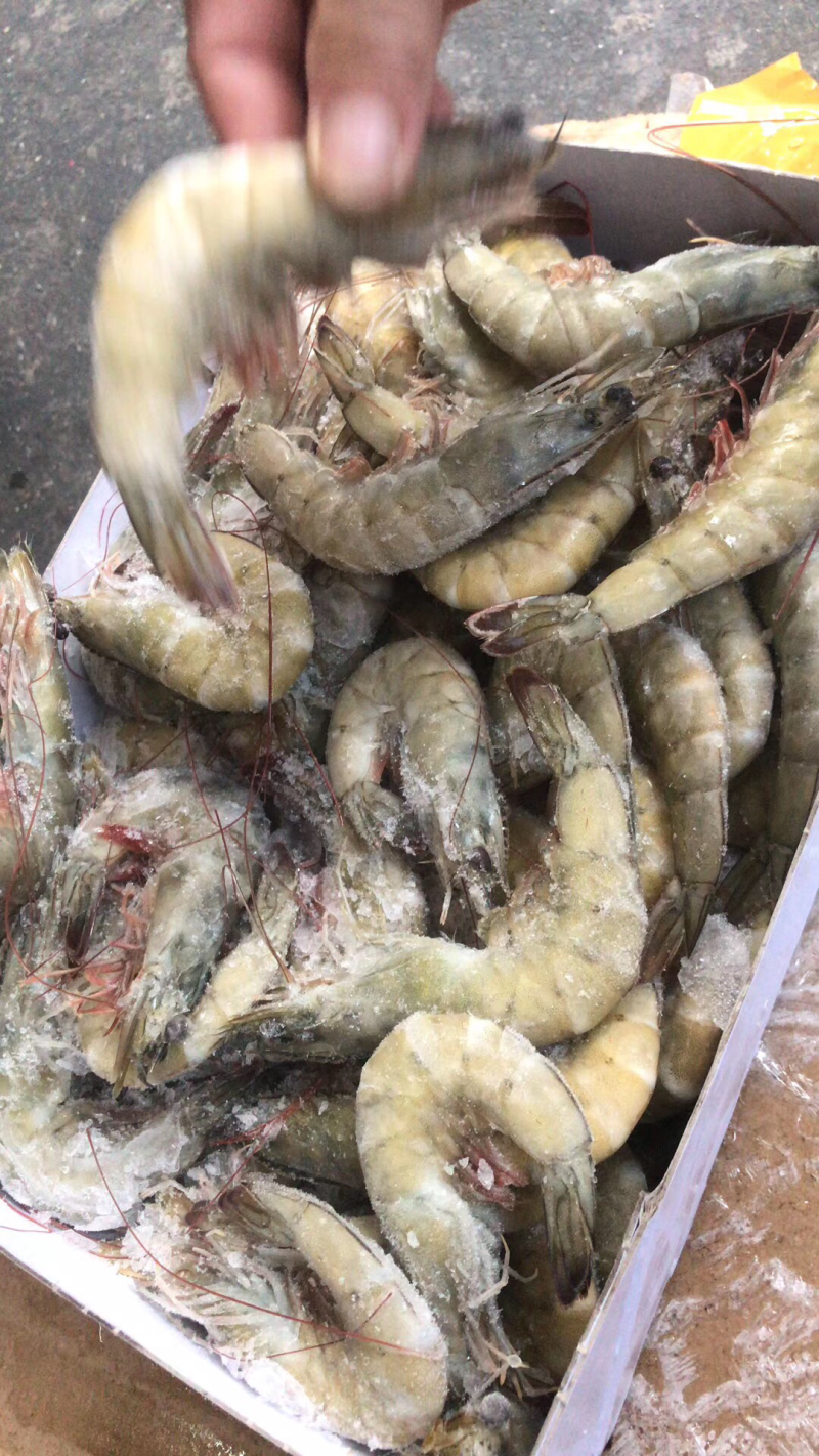 蟹批发，深海花蟹，船冻蟹，虎斑蟹，三点蟹，蟹钳，蟹脚