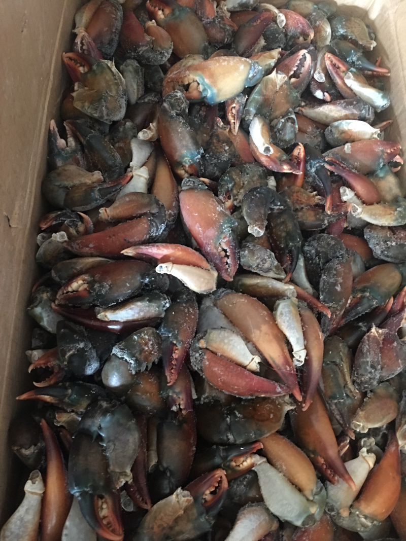 蟹批发，深海花蟹，船冻蟹，虎斑蟹，三点蟹，蟹钳，蟹脚