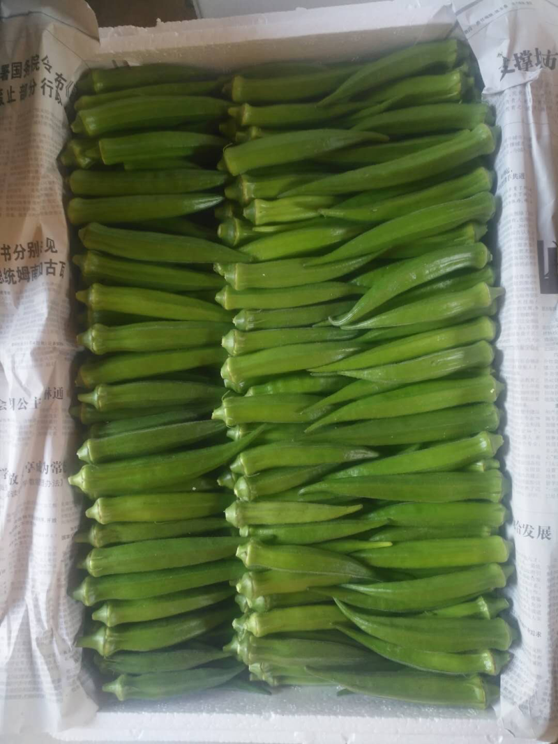 秋葵鲜嫩出炉需要的呼我