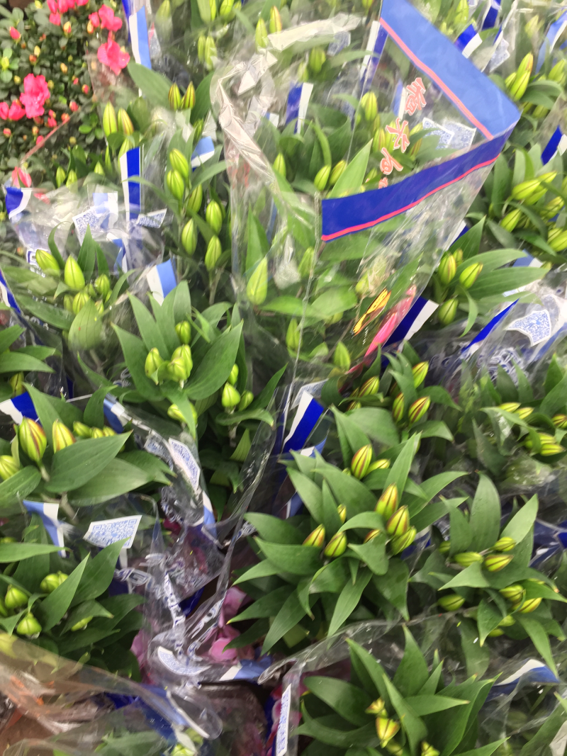 百合花供应