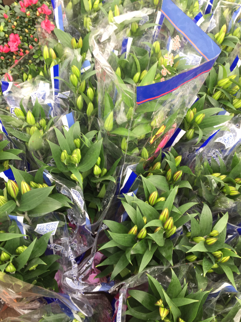 百合花供应