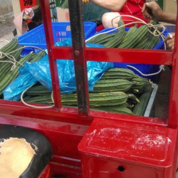 棱丝瓜可提供土地合作种植