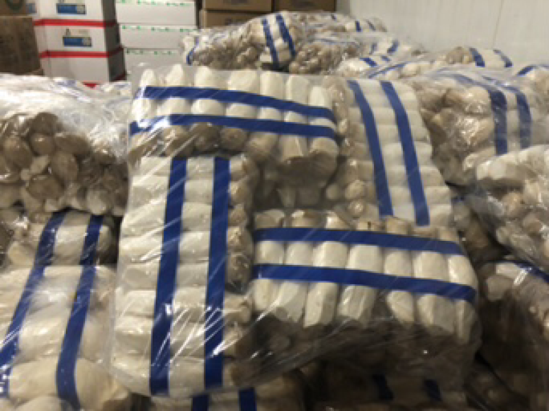 杏鲍菇厂家直发，质量价格有保证
