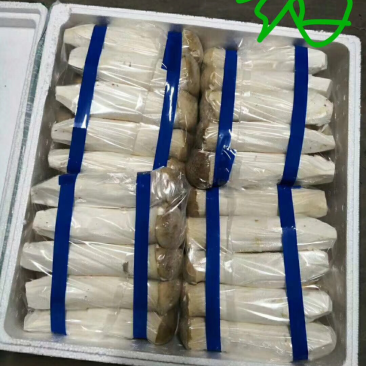 杏鲍菇厂家直发，质量价格有保证