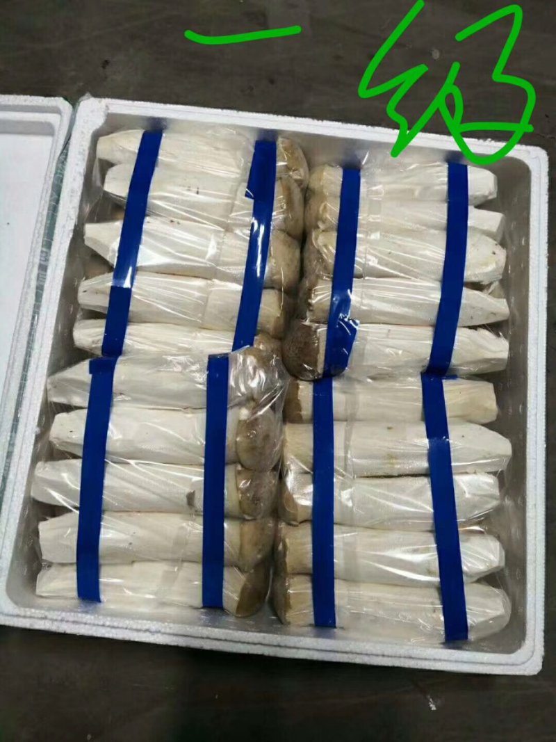 杏鲍菇厂家直发，质量价格有保证