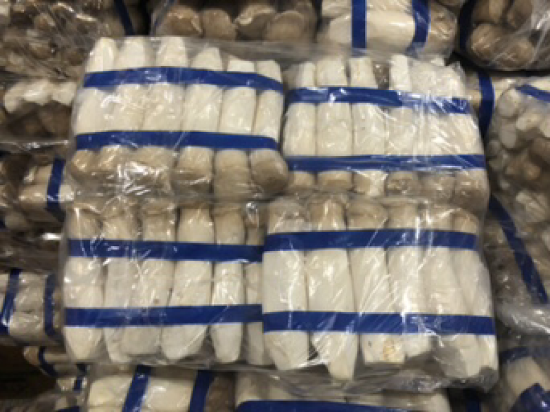 杏鲍菇厂家直发，质量价格有保证