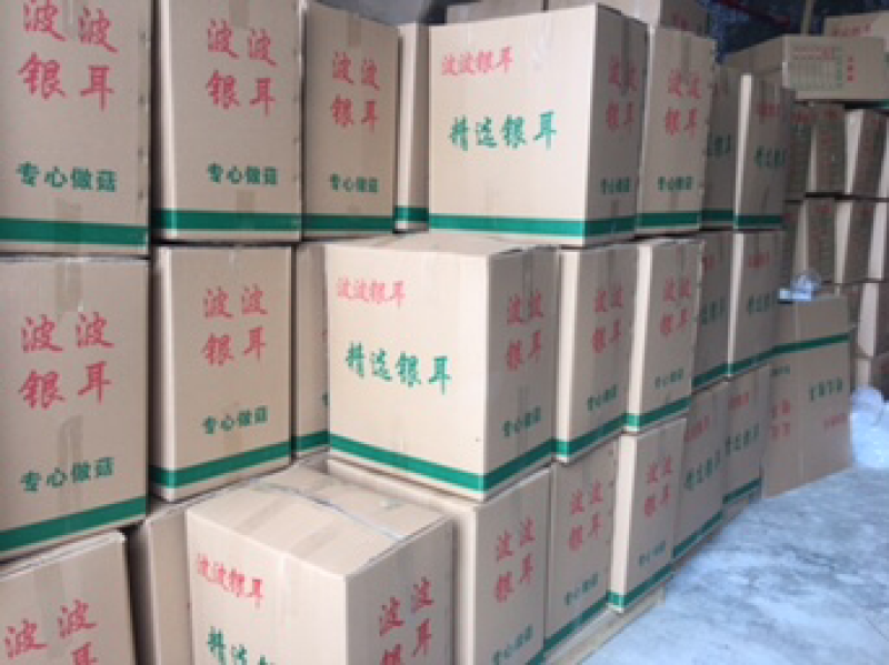 【包邮拿样】古田银耳畅销品2朵包邮