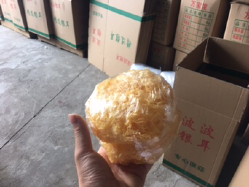 【包邮拿样】古田银耳畅销品2朵包邮