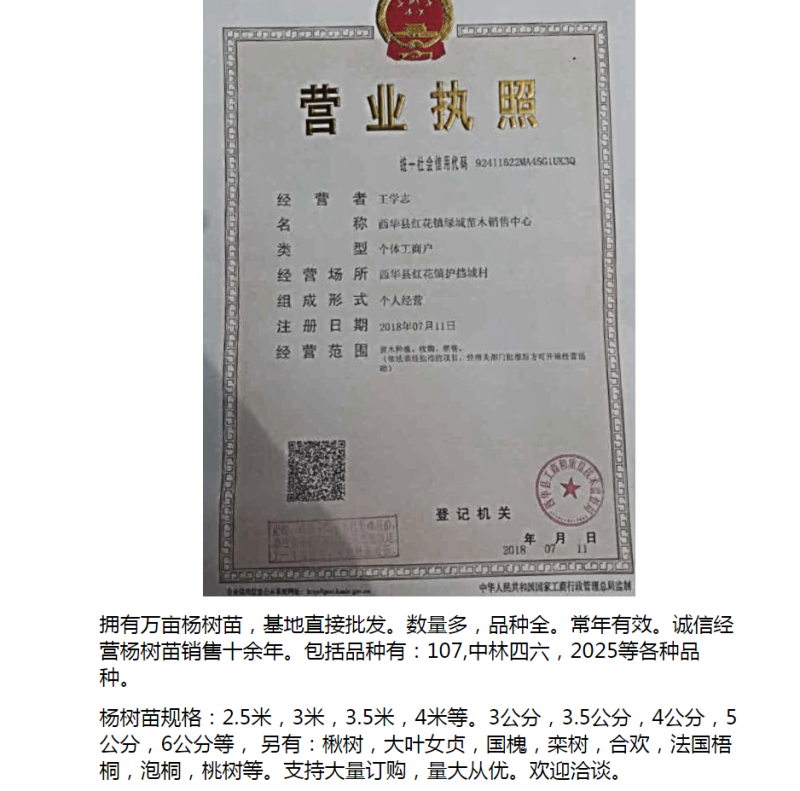 法国梧桐法桐河南法桐法桐批发基地直接批发，价格低