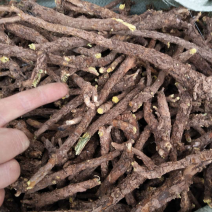切片货，选大条黄芩，空心黄芩，优质货，非常好的黄芩