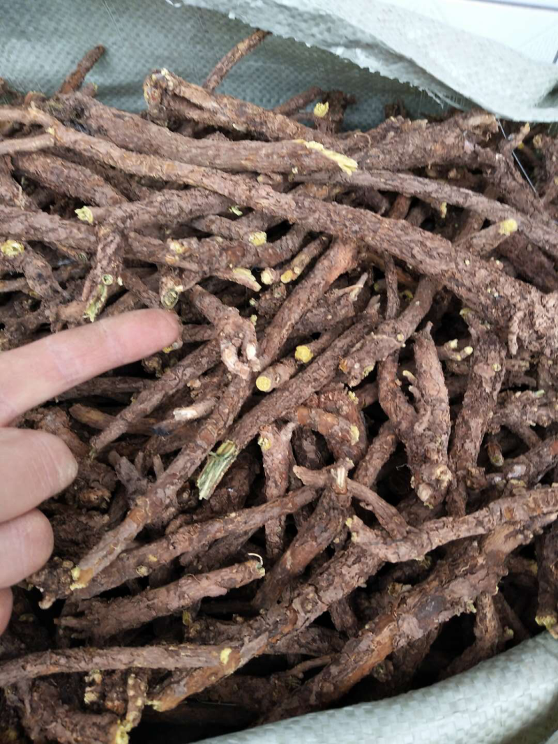 切片货，选大条黄芩，空心黄芩，优质货，非常好的黄芩