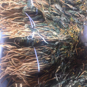 新鲜农家菜干连州菜心干