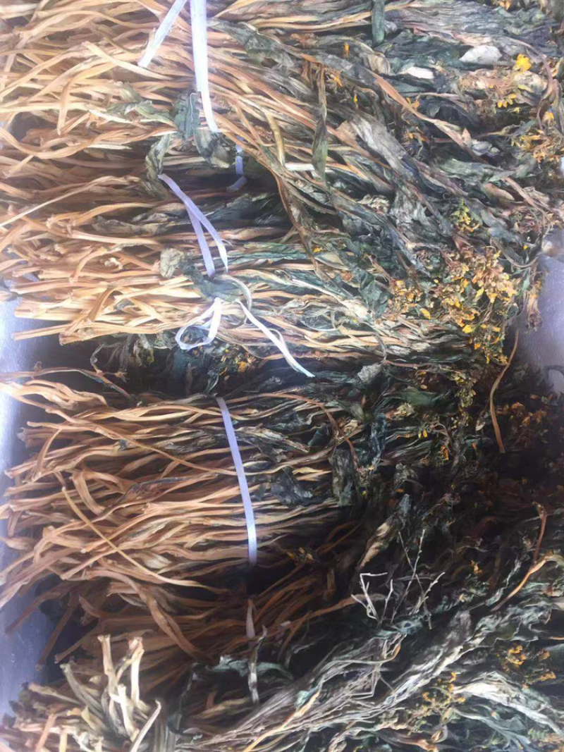 新鲜农家菜干连州菜心干