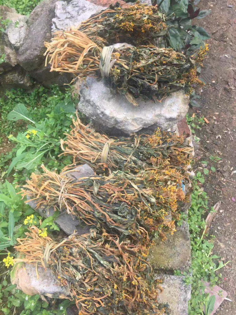 新鲜农家菜干连州菜心干