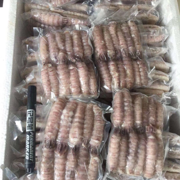 皮皮虾肉