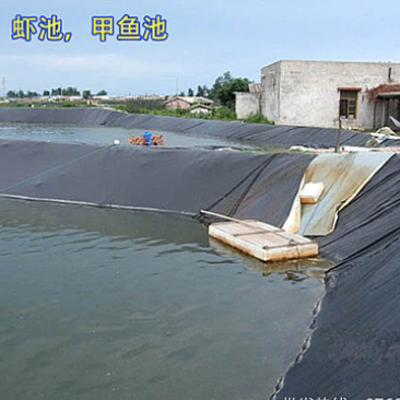 防水膜防渗土工加厚全黑塑料膜水产养殖别墅水池水渠蓄水防