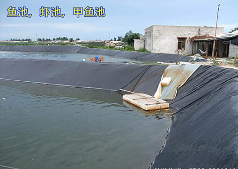 防水膜防渗土工加厚全黑塑料膜水产养殖别墅水池水渠蓄水防