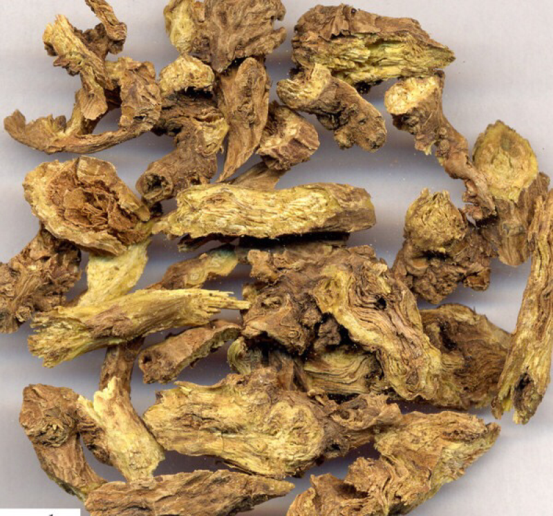 黄芩