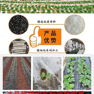 星星塑料薄膜农用地膜黑地膜白地膜银黑膜除草膜蔬菜果树苗保