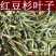 红豆杉叶