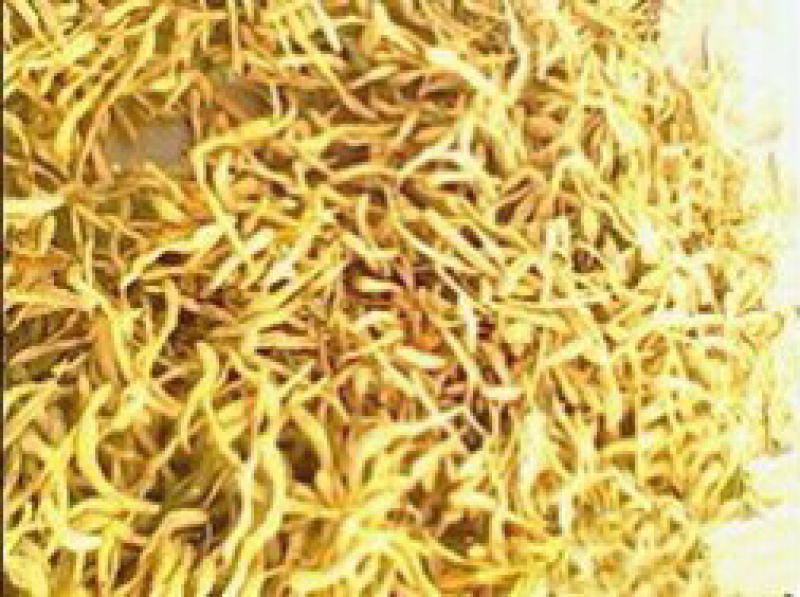 金银花