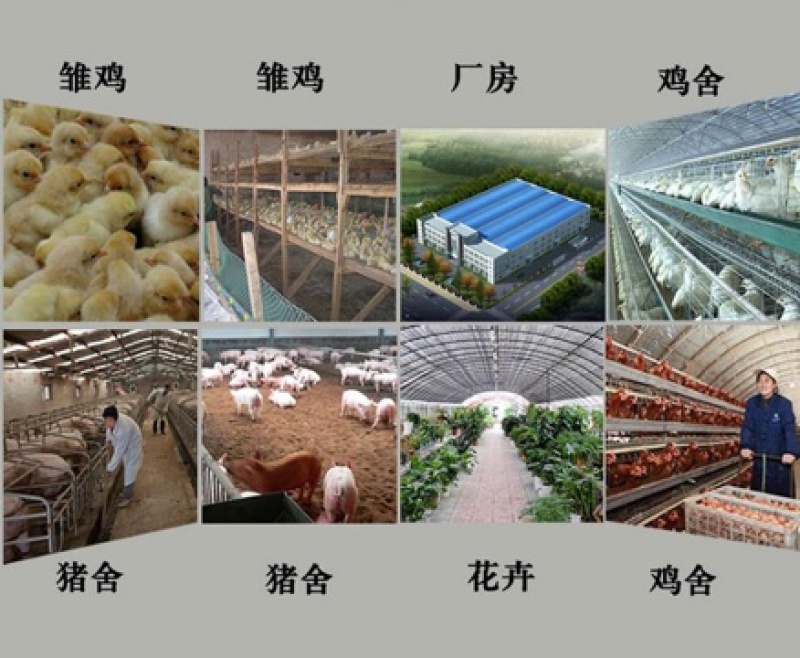 养殖专用热风炉猪舍热风炉