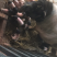 巴马香猪60斤左右初配母猪，种猪基地