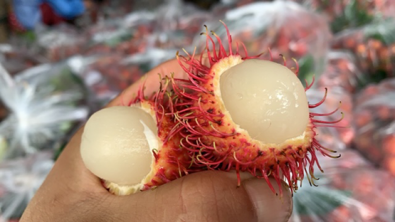 越南红毛丹一件代发