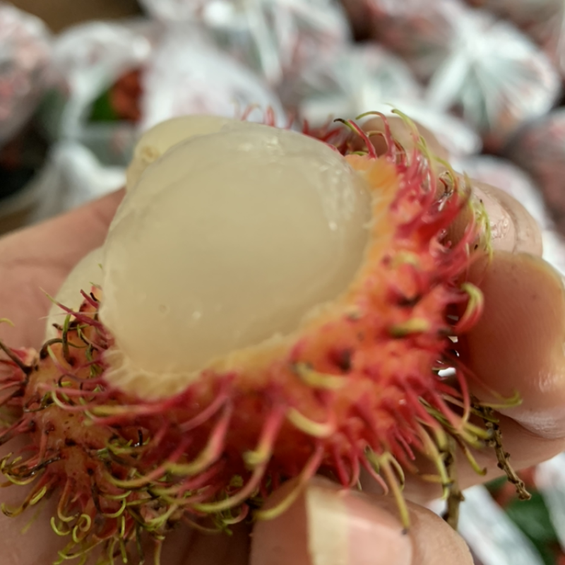 越南红毛丹一件代发