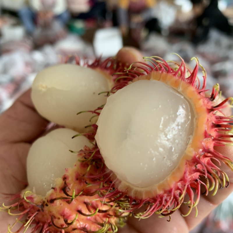 越南红毛丹一件代发