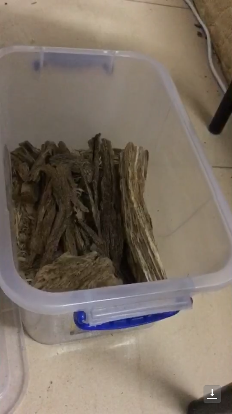 香港，沉香，树心油