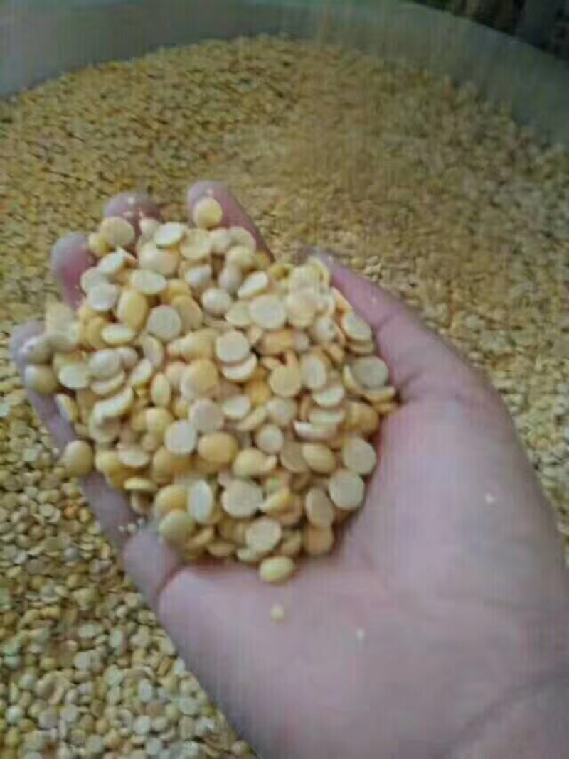 青皮黄豆腐竹