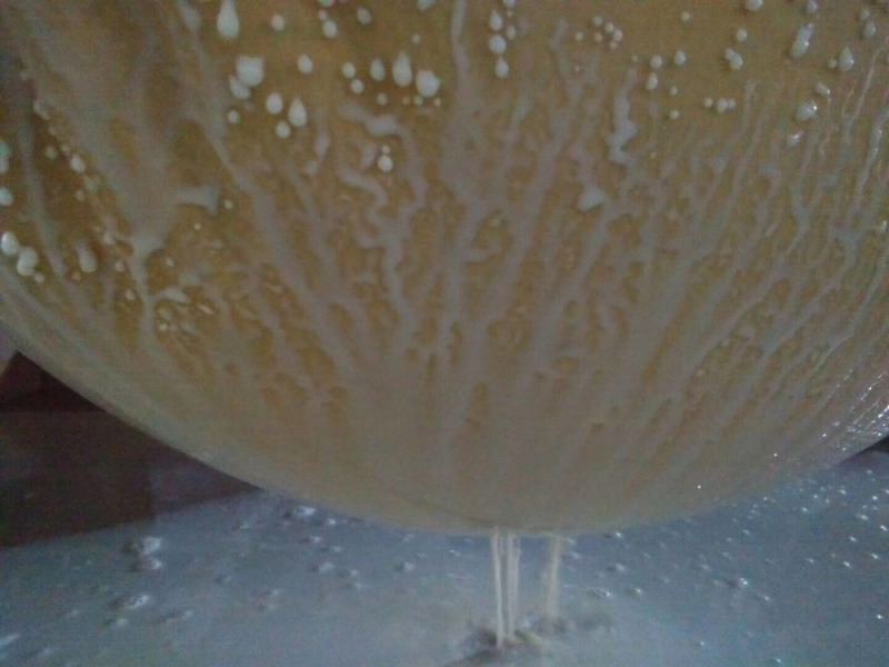 青皮黄豆腐竹