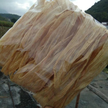 青皮黄豆腐竹