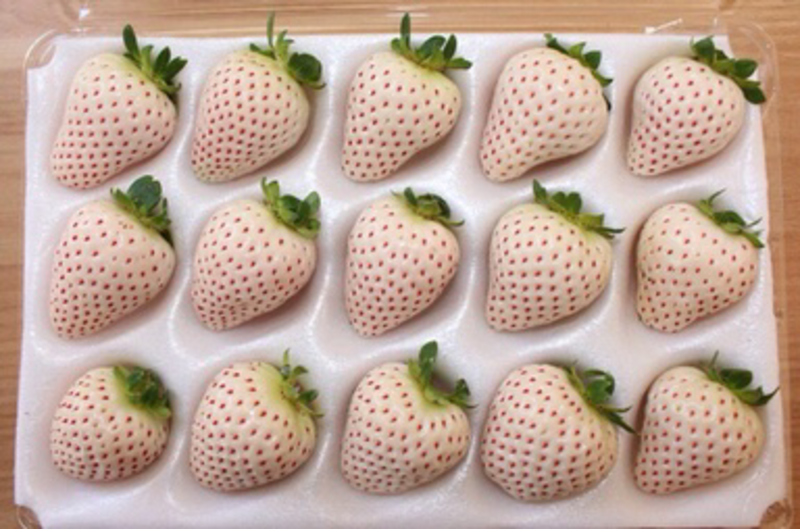 白雪公主白草莓
