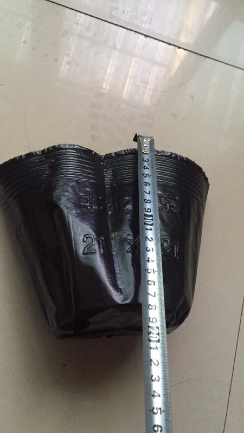 营养杯足尺口18高17点5的