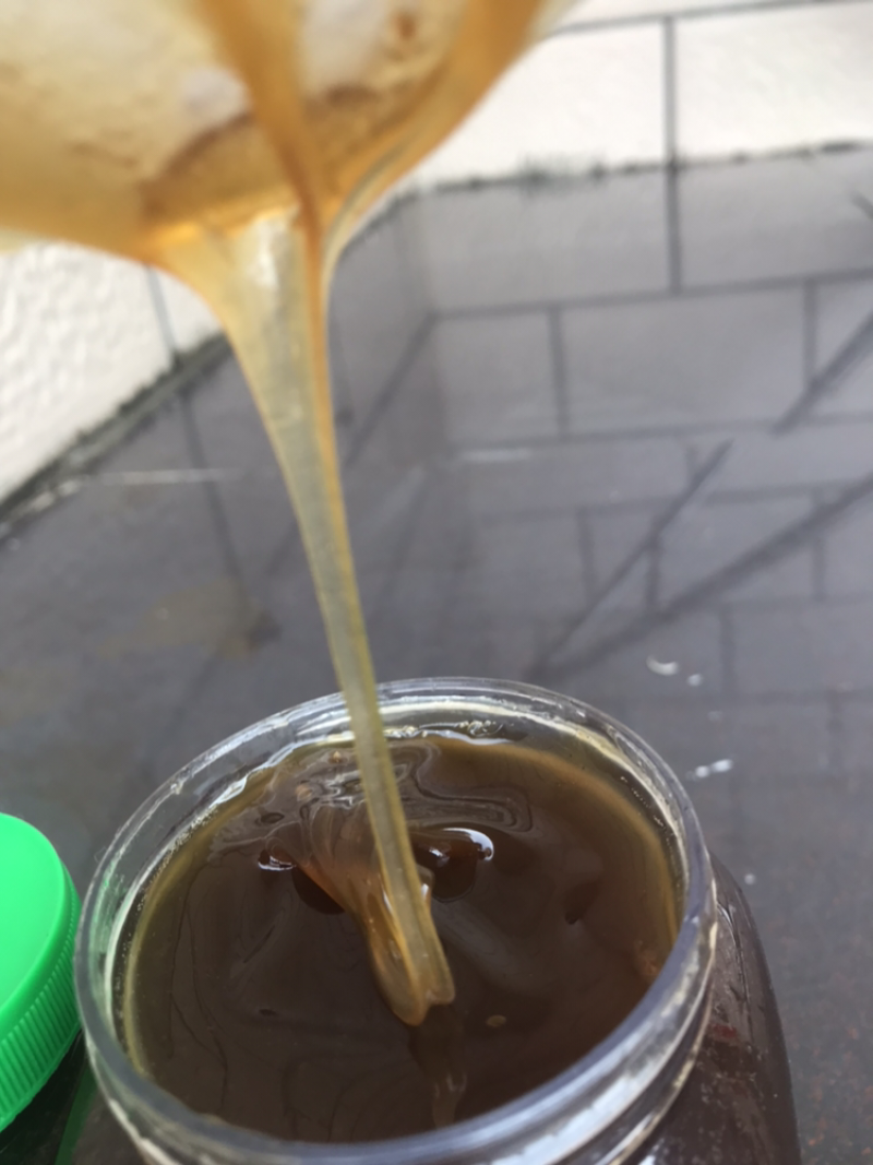 麦芽糖