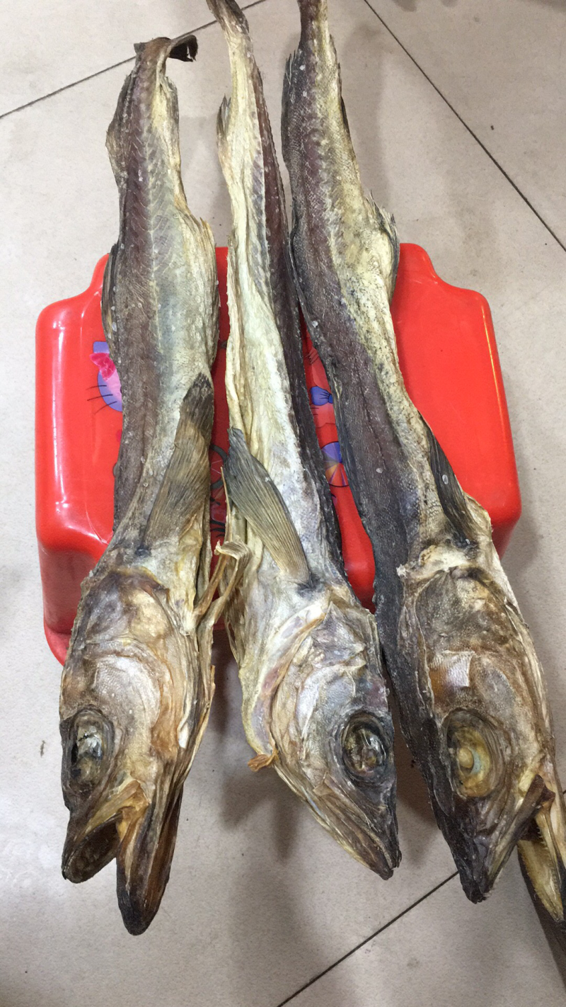 海鲜海鱼，海产干货批发鱼，虾，