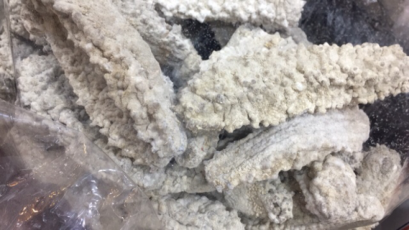 干货，海产品，泡酒海马，海龙，海星，海参