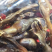干货，海产品，泡酒海马，海龙，海星，海参