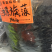 干货，海产品，泡酒海马，海龙，海星，海参