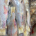 干货，海产品，泡酒海马，海龙，海星，海参