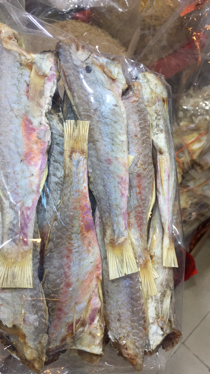 干货，海产品，泡酒海马，海龙，海星，海参