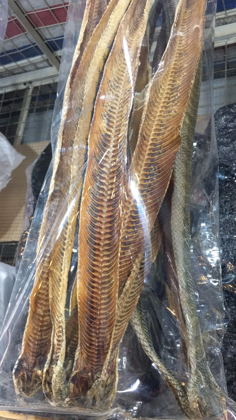 干货，海产品，泡酒海马，海龙，海星，海参