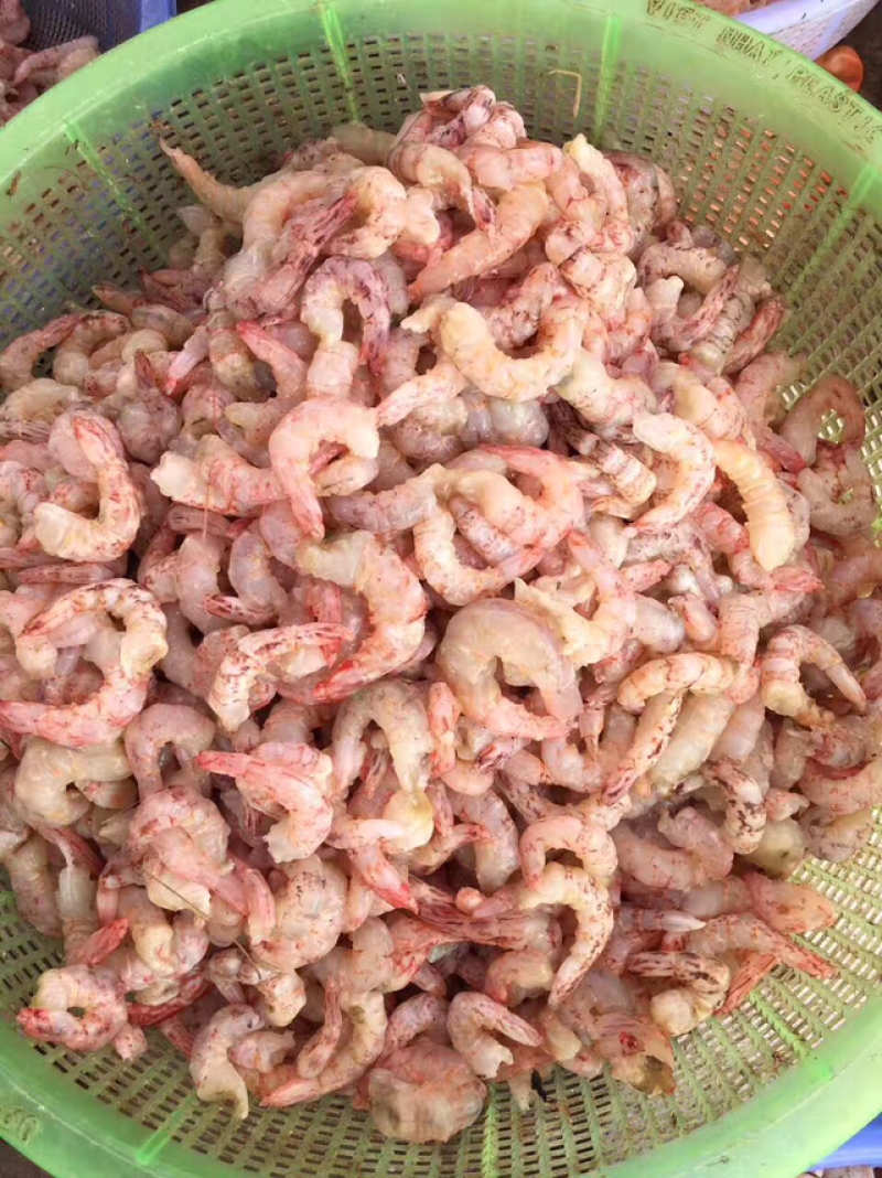 天然原汁原味海虾仁、20斤块冻