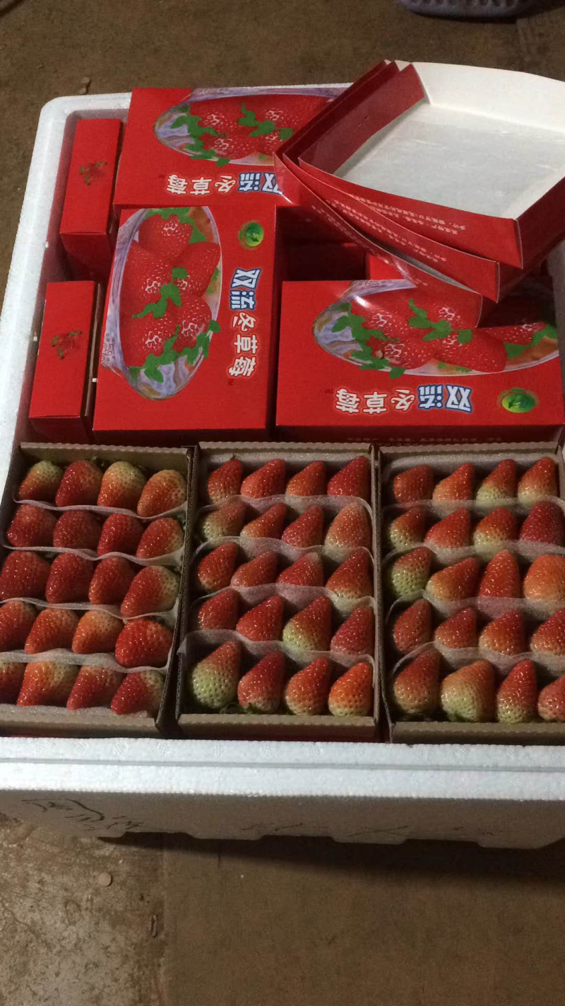 蒙特瑞草莓